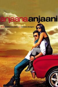 Anjaana Anjaani (2010) Hindi