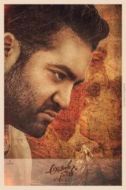 Aravinda Sametha Veera Raghava (2020) Hindi Dubbed