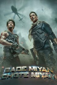 Bade Miyan Chote Miyan (2024) Hindi HD