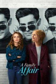 A Family Affair (2024) Hindi Dubbed