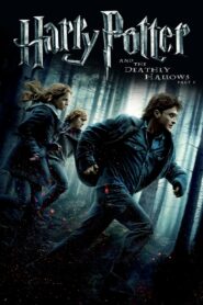 Harry Potter and the Deathly Hallows: Part 8 (2011) Hindi Dubbed