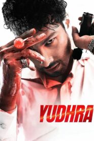 Yudhra (2024) Hindi Pre DVD